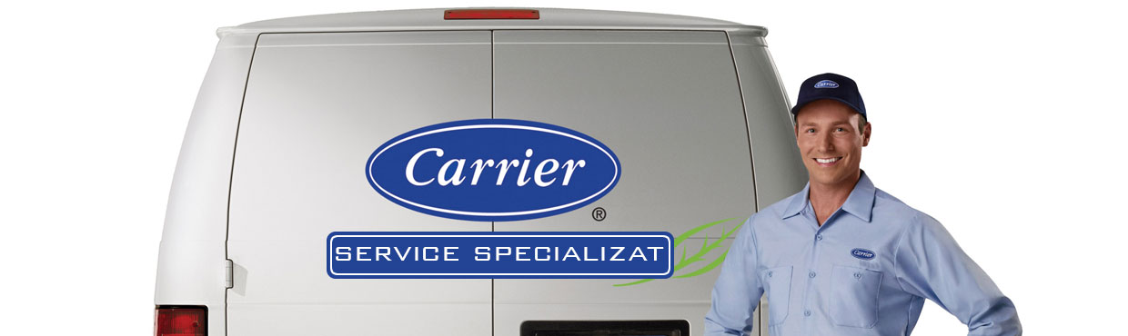 service thermoking